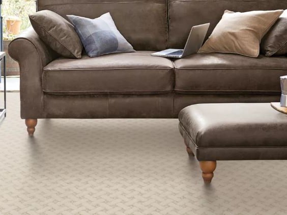 The Gallery at Smart Carpet carries SmartStrand Silk products