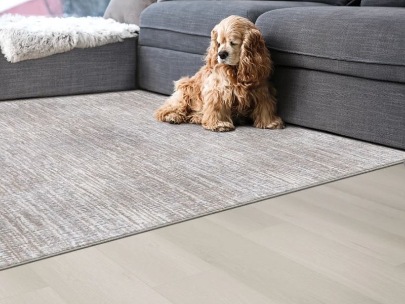 The Gallery at Smart Carpet carries a wide variety of flooring options in the New Jersey area, such as Stanton.